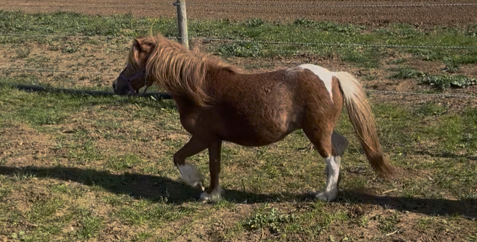 Kadence en extérieur