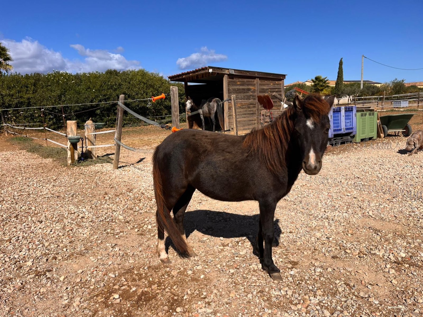 Ninadja en extérieur