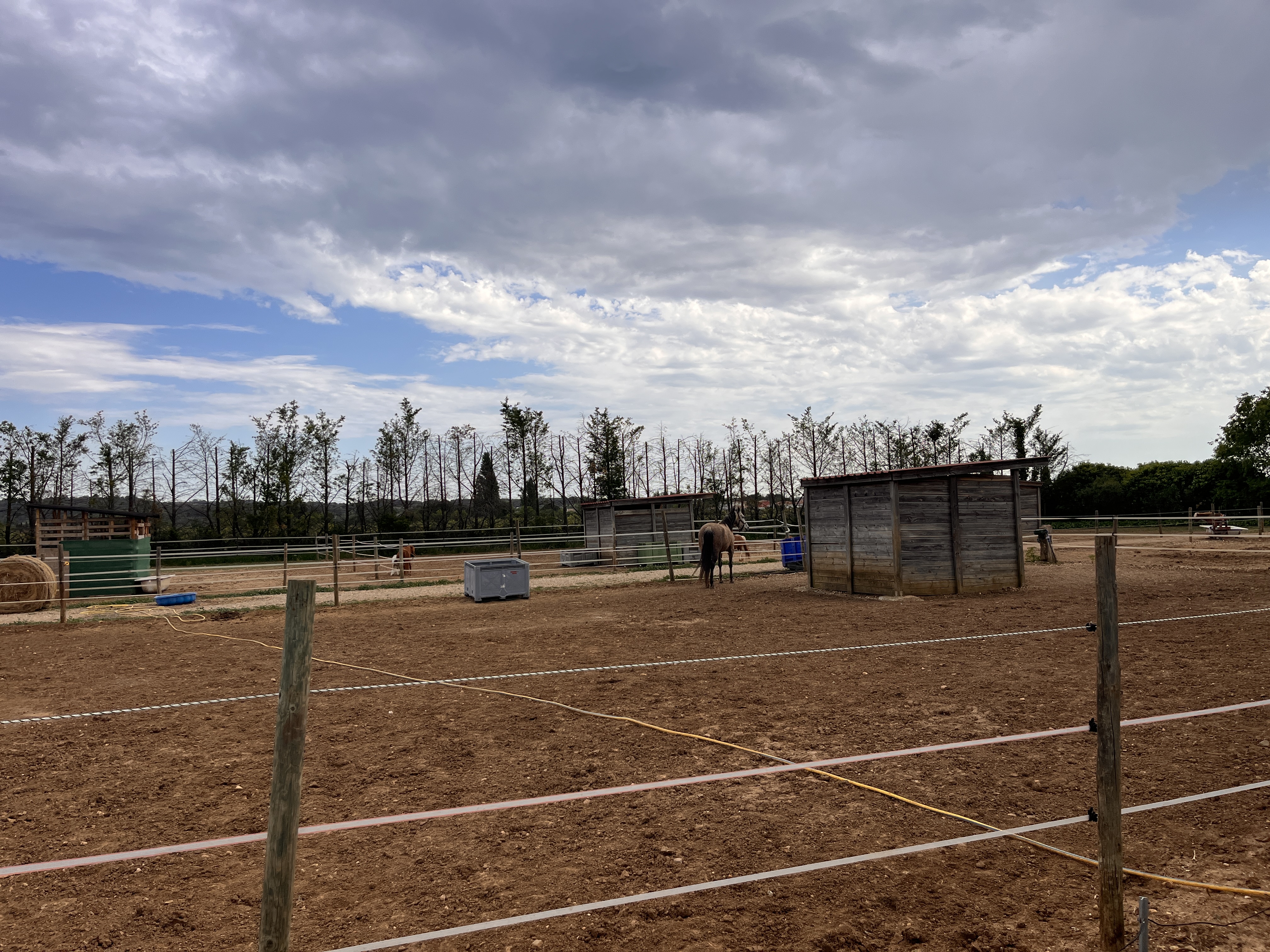 Paddocks de la pension équine Arche du Négadis à Paulhan — vue sur les vignes héraultaises