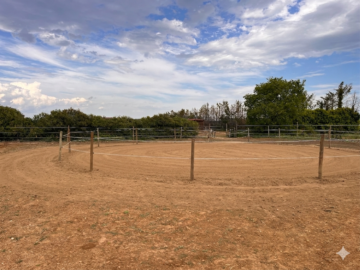 Rond de longe sablé — pension cheval Paulhan Hérault 34